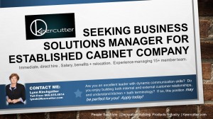 business solutions manager
