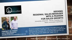 Sales Manager Slide